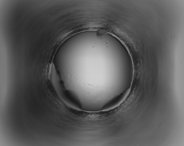 X0000093531169200710121554
