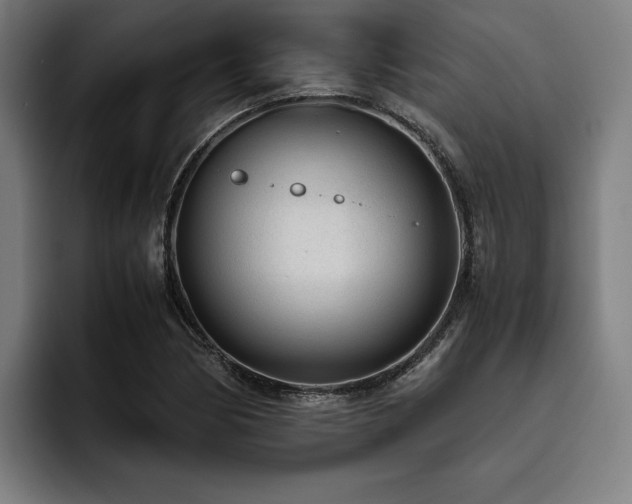 X0000093531170200710121554
