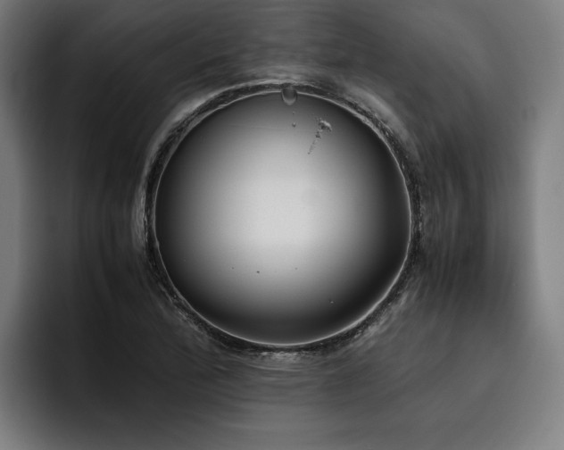 X0000093531172200710121554