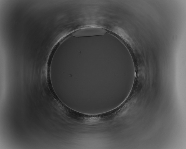 X0000093531173200710121554