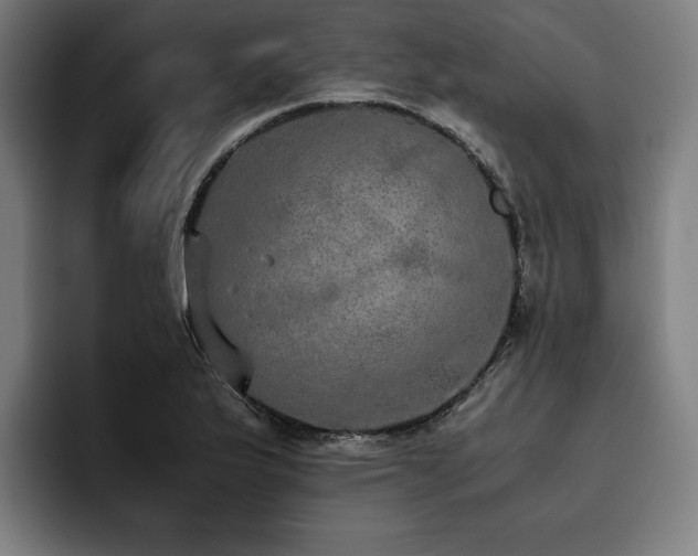 X0000093531175200710121554