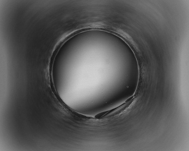 X0000093531176200710121554