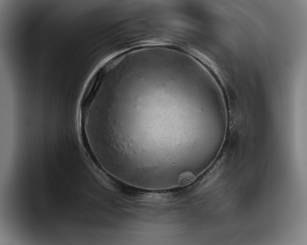 X0000093531179200710121554