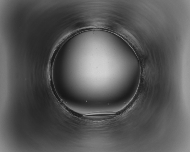 X0000093531180200710121554