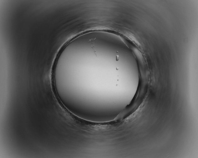 X0000093531181200710121554