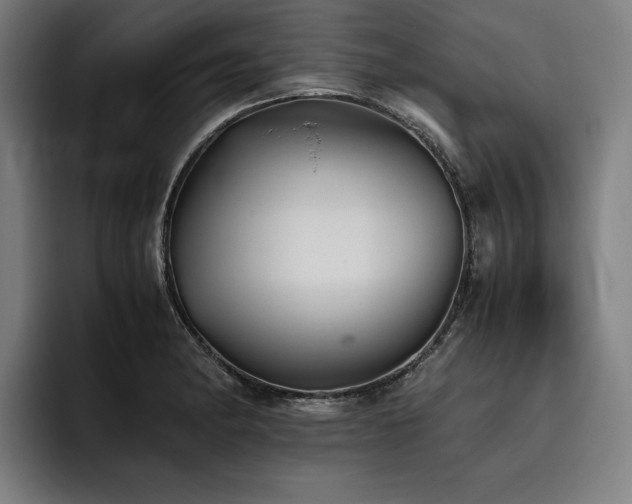 X0000093531182200710121554