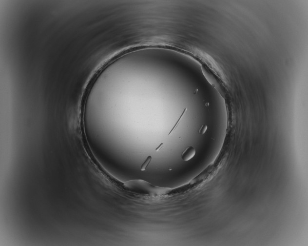 X0000093531184200710121554