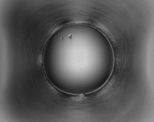 X0000093531185200710121554