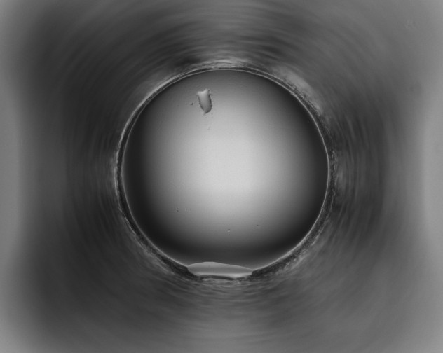 X0000093531186200710121554