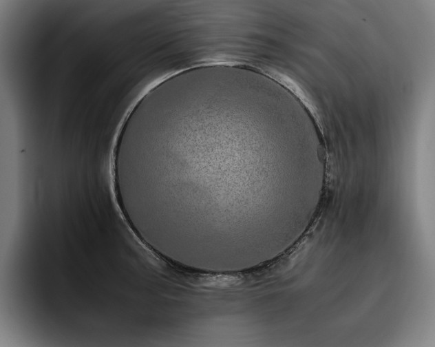X0000093531187200710121554