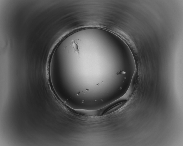 X0000093531188200710121554