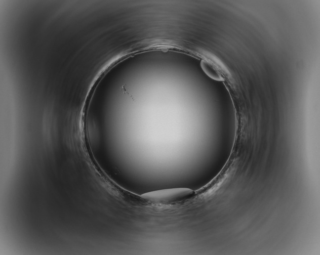 X0000093531190200710121554