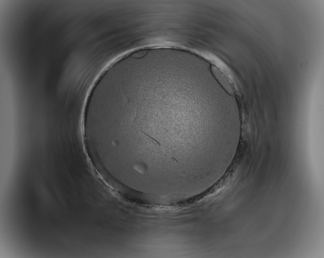 X0000093531191200710121554