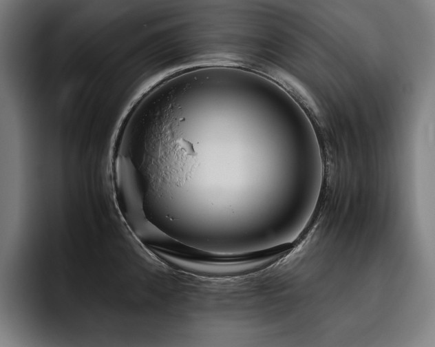X0000093531192200710121553