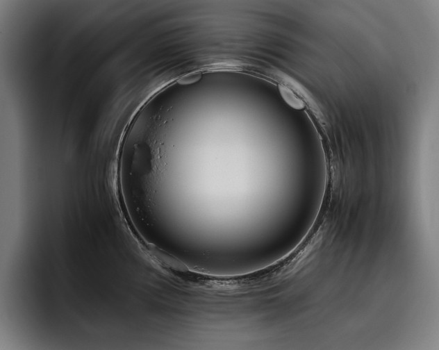 X0000093531194200710121553