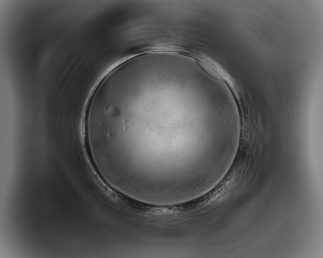 X0000093531195200710121553
