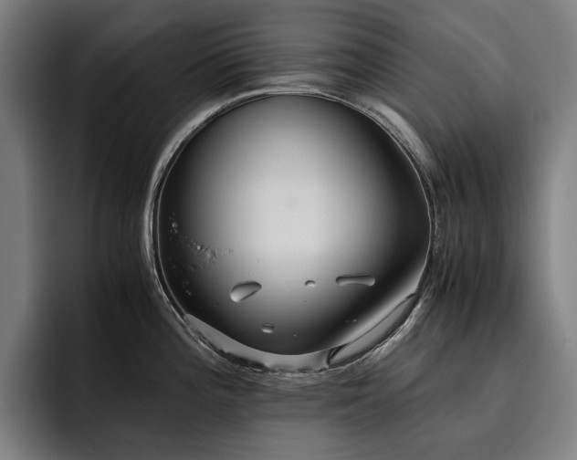 X0000093531196200710121553