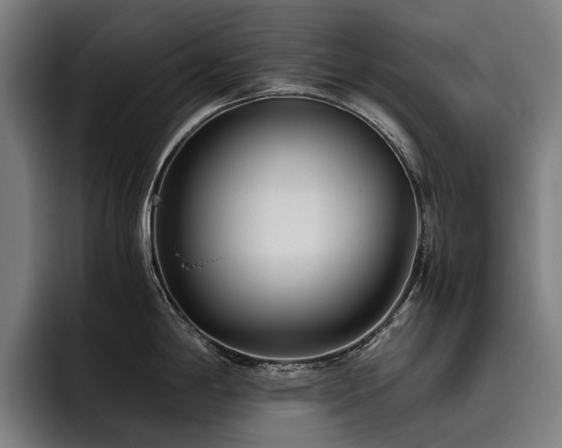 X0000093531198200710121553