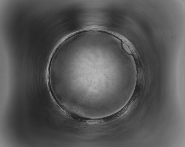X0000093531199200710121553