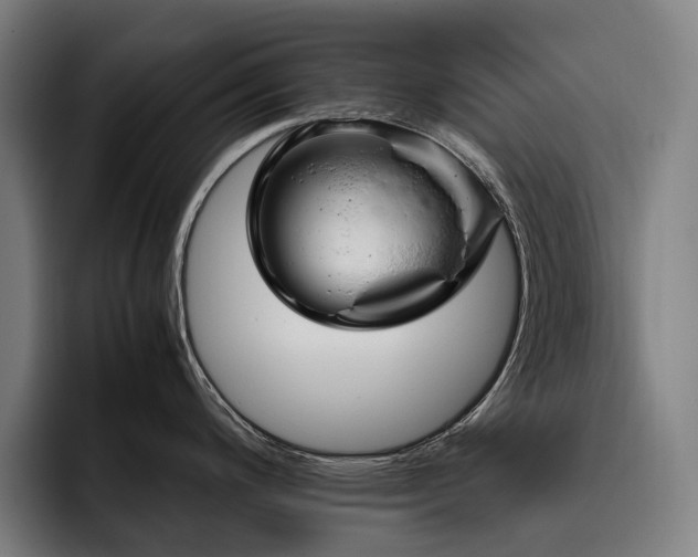 X0000093531200200710121553