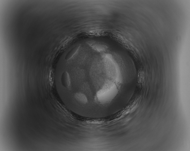 X0000093531202200710121553