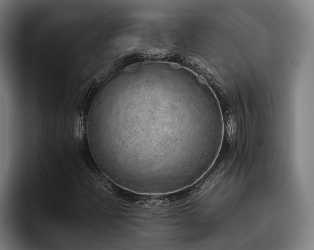 X0000093531204200710121553