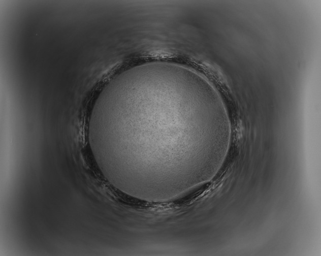 X0000093531205200710121553