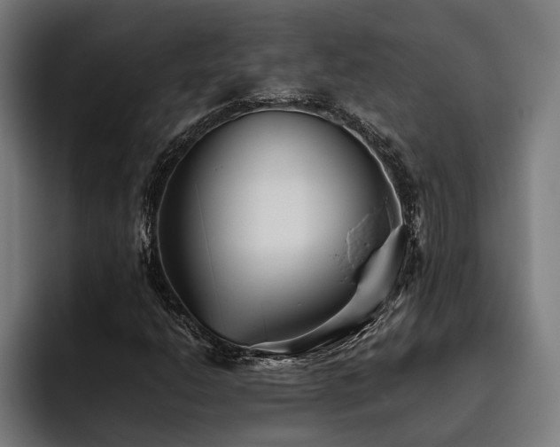 X0000093531206200710121553
