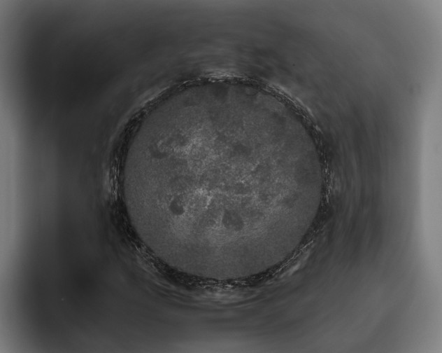 X0000093531207200710121553