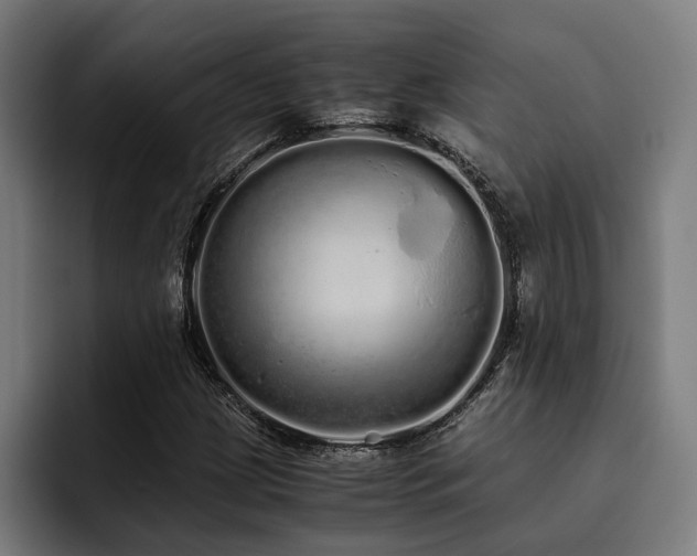 X0000093531209200710121553