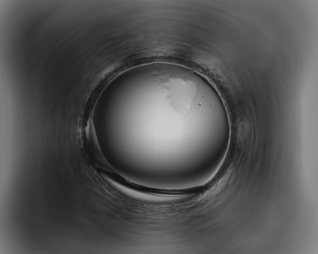 X0000093531210200710121553