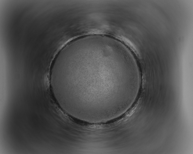 X0000093531212200710121553