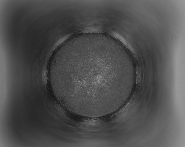 X0000093531213200710121553