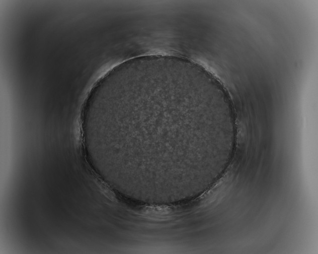 X0000093531215200710121553