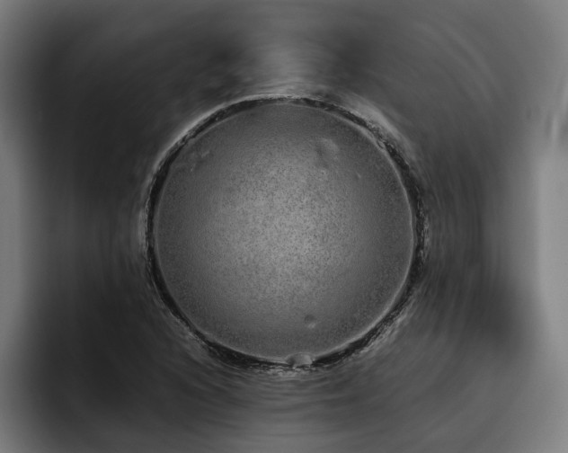 X0000093531216200710121553