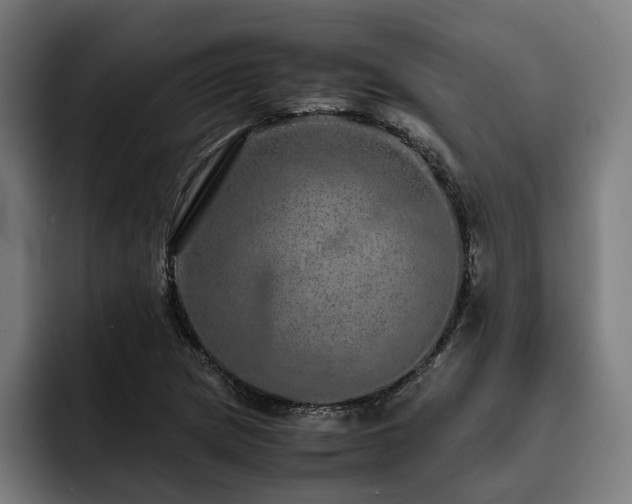 X0000093531217200710121553