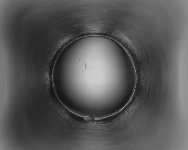 X0000093531218200710121553