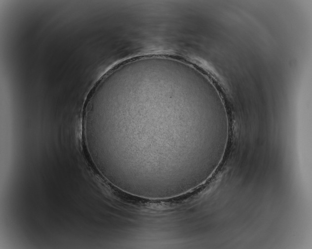 X0000093531220200710121553