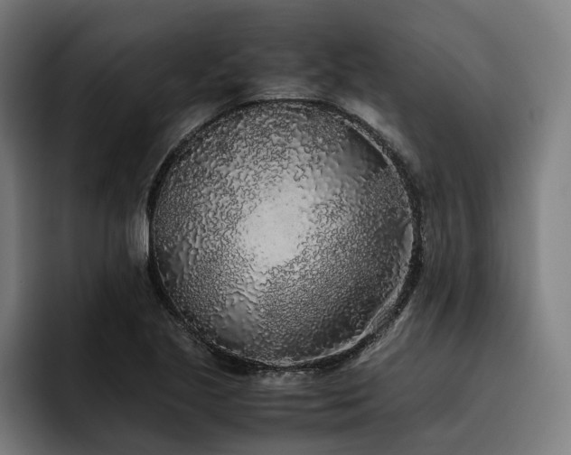 X0000093531221200710121553