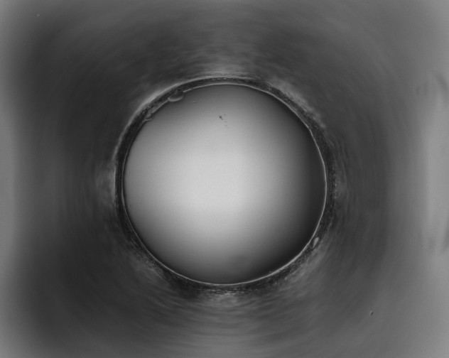 X0000093531222200710121553