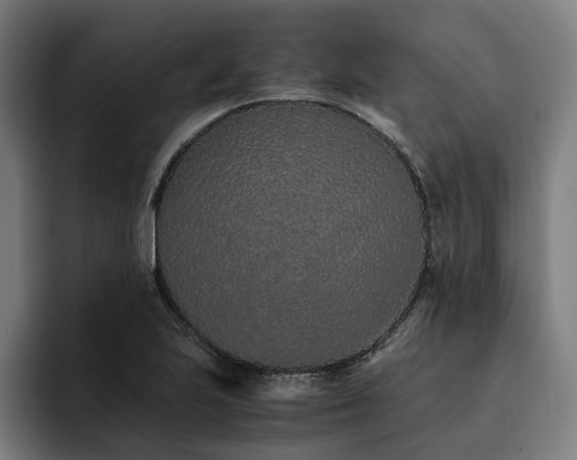 X0000093531223200710121553