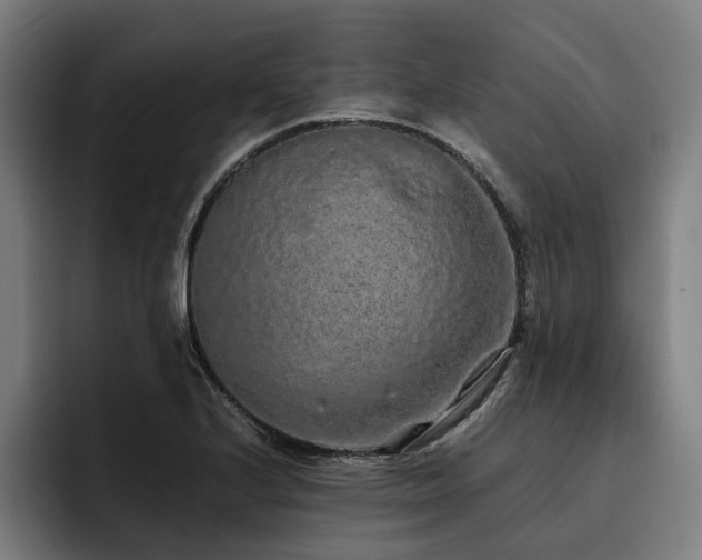 X0000093531224200710121553