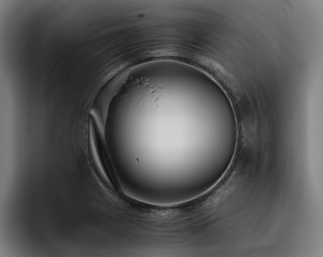 X0000093531225200710121553