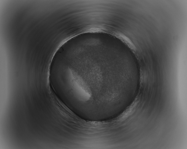 X0000093531226200710121553
