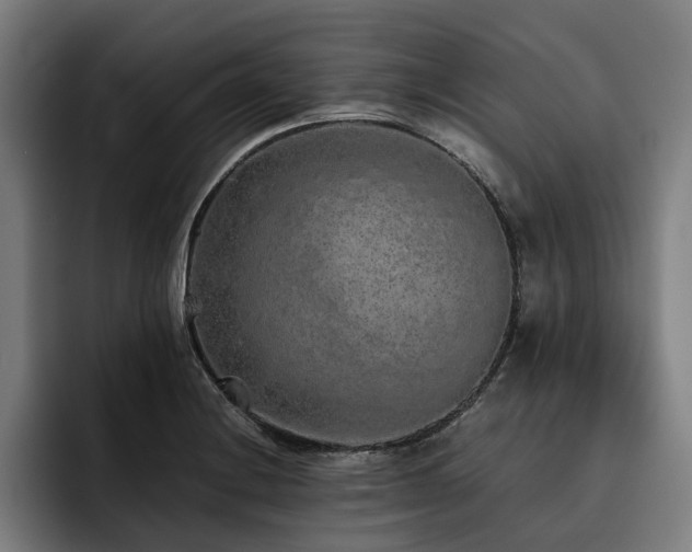 X0000093531228200710121553
