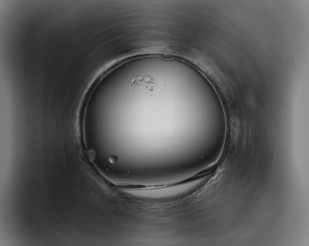 X0000093531230200710121553