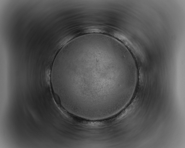 X0000093531233200710121553