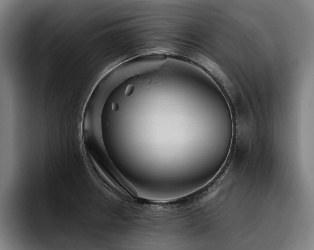 X0000093531234200710121553