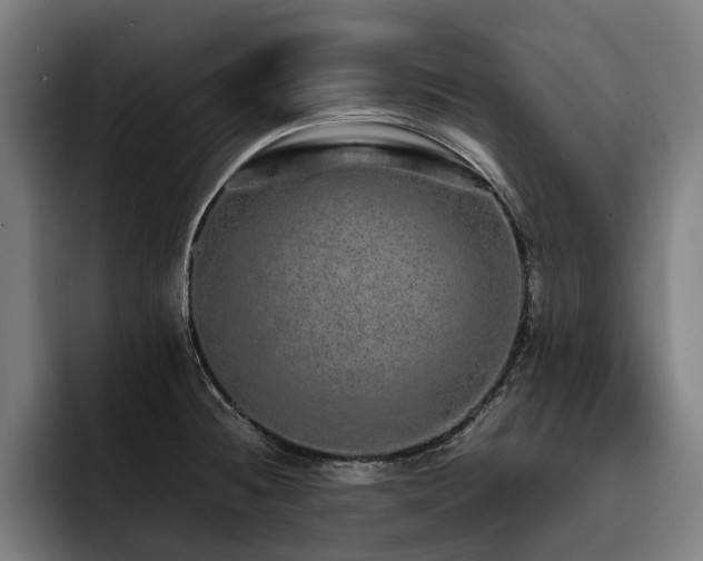 X0000093531236200710121553