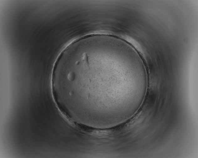 X0000093531237200710121553